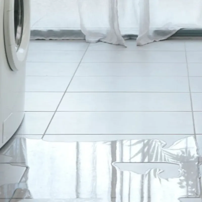 Appliance Leak Cleanup in Acton, ME