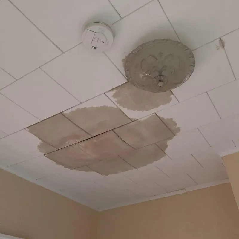 Ceiling Water Damage Repair in Acton, ME