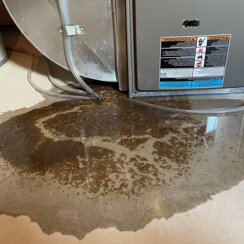 Pipe Burst and Leak Restoration in Acton, ME