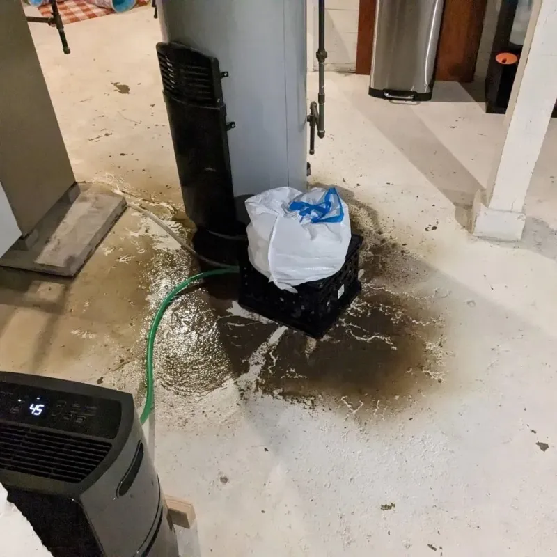 Sewage Backup Cleanup Service in Acton, ME
